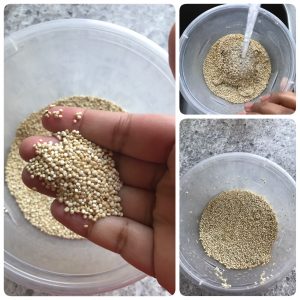 vegetable quinoa upma