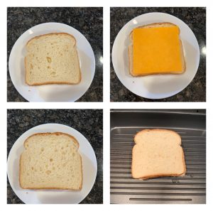 mayo cheese sandwich
